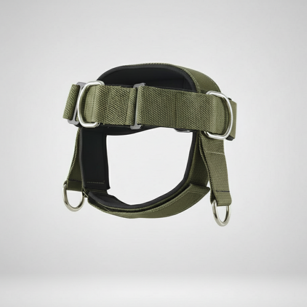 Strike Prime Harness – Harnais de nuque / Neck Harness